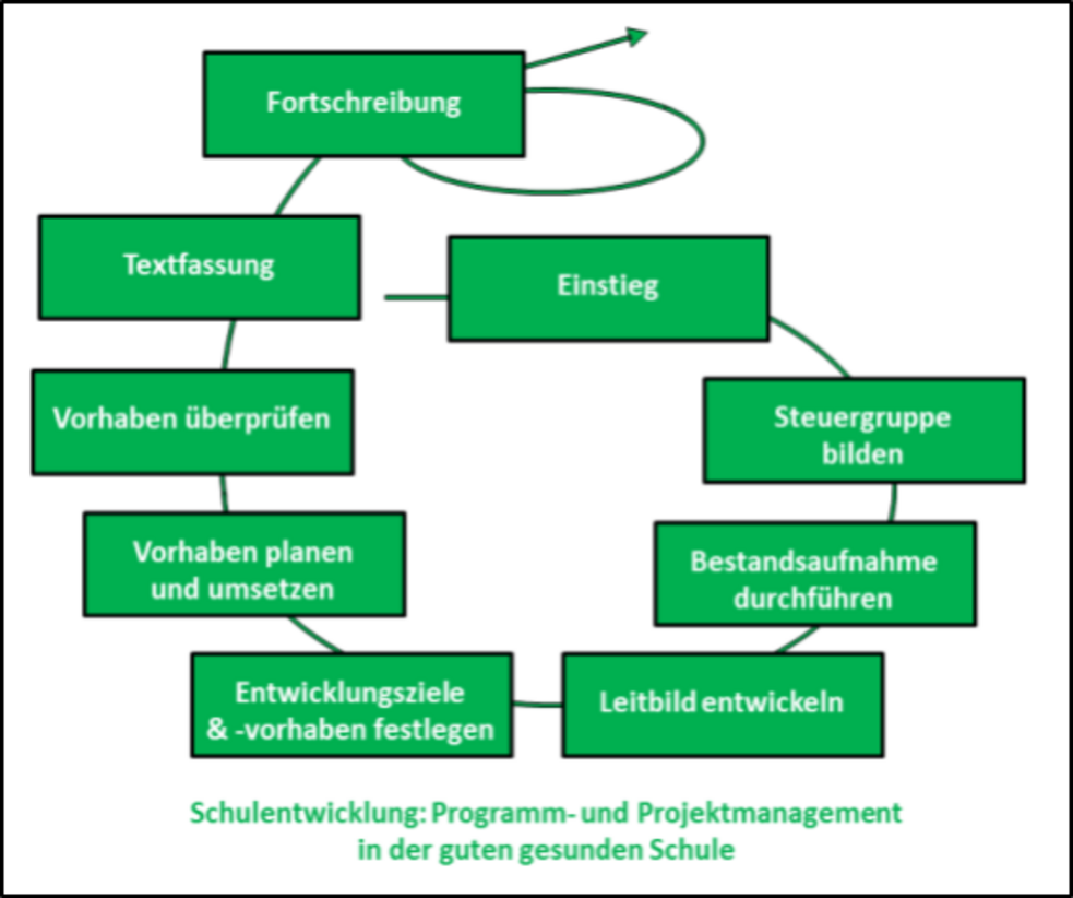 Grafik des Schulentwicklungszyklus Programm- und Projektmanagement in der guten gesunden Schule